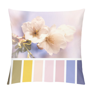 Personality  Cherry Blossom In Springtime With Colour Palette Of Complimentary Colour Swatches. Pillow Covers