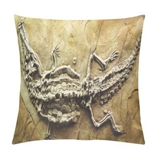 Personality  140 Million Years Old Alligator Fossil  Pillow Covers