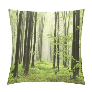 Personality  Spring Beech Forest In The Fog Pillow Covers