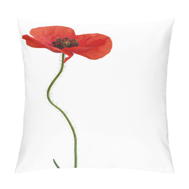 Personality  Poppy Flower Isolated On White Background Pillow Covers