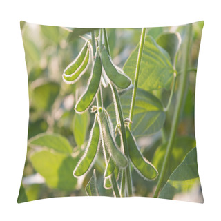 Personality  Close Up Of The Soy Bean Pillow Covers