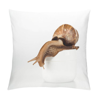 Personality  Brown Snail On Cosmetic Cream Container On White Pillow Covers