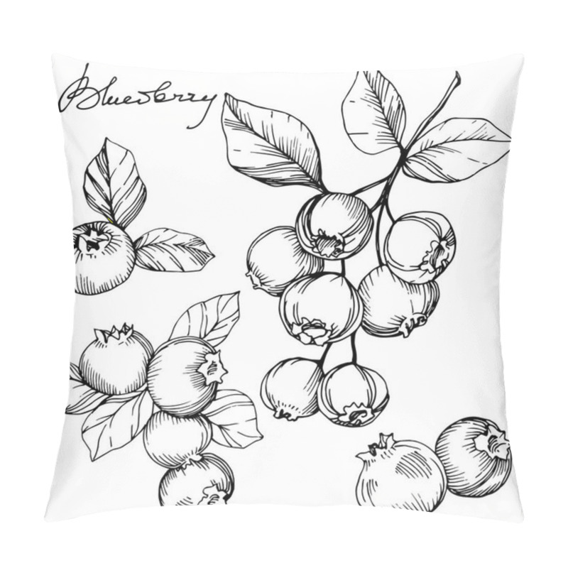 Personality  Vector Blueberry Black And White Engraved Ink Art. Berries And Leaves. Isolated Blueberry Illustration Element. Pillow Covers