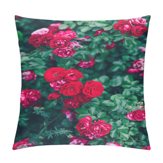 Personality  Green Rose Bushes With Big Red Buds Pillow Covers