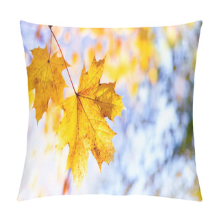Personality  Bright Yellow Autumn Maple Leaves In Soft Focus Close-up Against A Blue Sky On An Autumn Sunny Day. Autumn Bright Background With Copy Space Pillow Covers