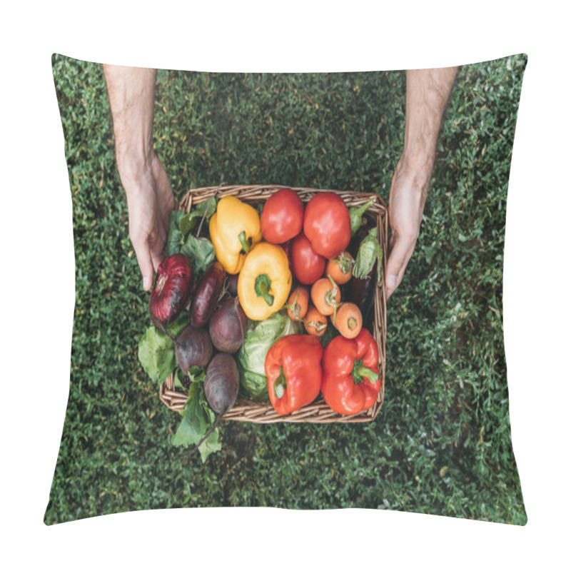 Personality  farmer holding basket with vegetables pillow covers