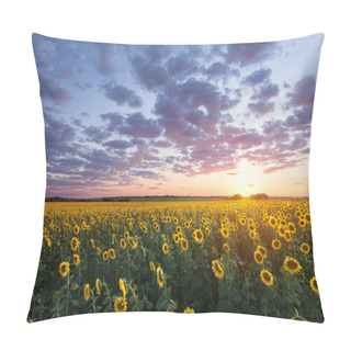 Personality  Sunflower At Sunset  Pillow Covers