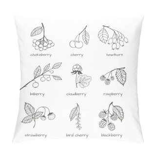 Personality  Set Of Garden And Wild Hand-drawn Sketches Berries Pillow Covers