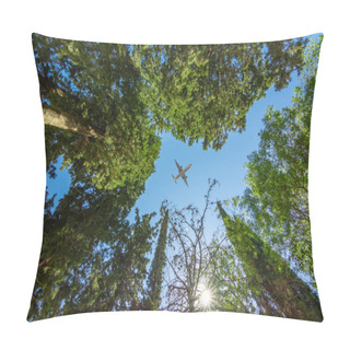 Personality  Airplane Above Trees Pillow Covers