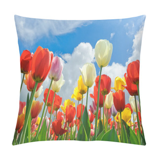 Personality  Multicolored Tulips Pillow Covers