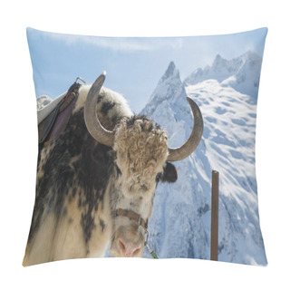 Personality  Shaggy Muzzle Of A Yak On The Background Of The Beautiful White Mountains Of The Caucasus, Close-up Pillow Covers