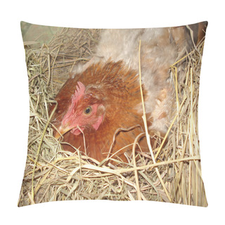 Personality  Hen On The Nest Pillow Covers