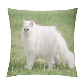 Personality  White Persian Cat Walking  Pillow Covers
