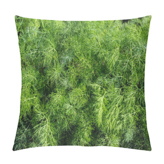Personality  Fresh Dill Green Pillow Covers