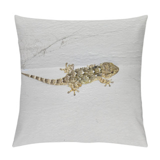 Personality  Mediterranean House Gecko (Hemidactylus Turcicus) Climing Vertically On White Wall  Pillow Covers