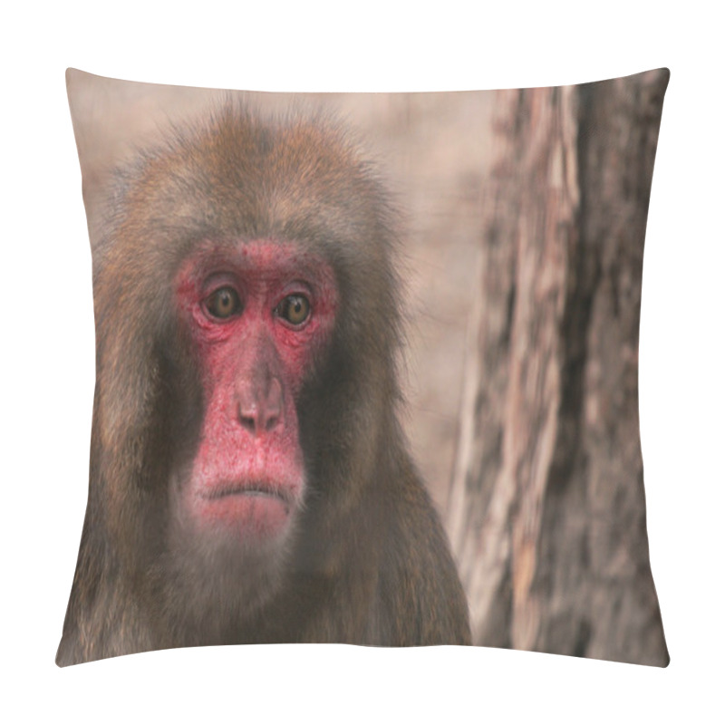 Personality  Baboon Pillow Covers