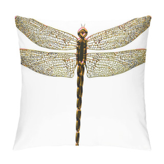 Personality  Gold Dragonfly Isolated In White Background Pillow Covers