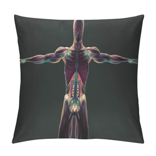 Personality  Human Anatomy Model Pillow Covers
