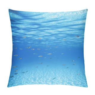 Personality  School Of Fish Swimming Over Sand Bottom In The Tropical Sea Pillow Covers