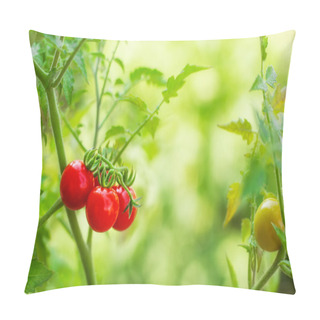 Personality  Cherry Tomatoes In A Garden Pillow Covers