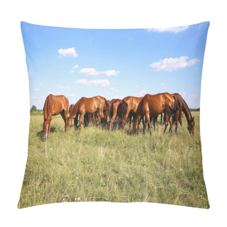 Personality  Panoramic View Of Herd Of Horses When Grazing On Meadow Pillow Covers