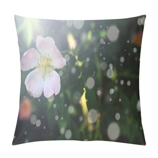 Personality  Vintage Apple Tree Flower And Bokeh Pillow Covers