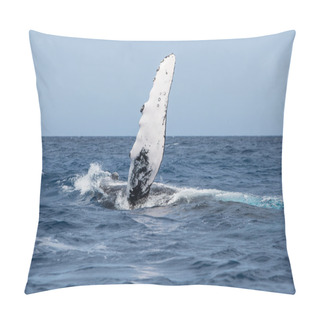 Personality  Humpback Whale Pectoral Fin Pillow Covers