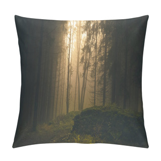 Personality  Foggy Forest, Light Coming Through Trees, Stones, Moss, Wood Fern, Spruce Trees. Gloomy Magical Landscape At Autumn/fall. Jeseniky Mountains, Eastern Europe, Moravia.  Pillow Covers