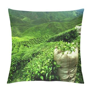Personality  Green Tea Plantation Pillow Covers