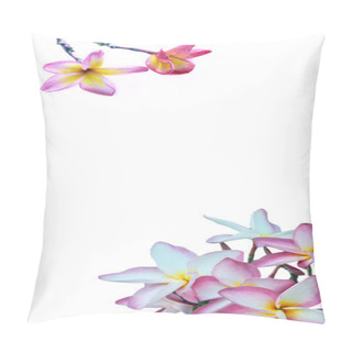Personality  Frangipani Flower On White Background Pillow Covers