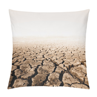 Personality  Wasteland Pillow Covers