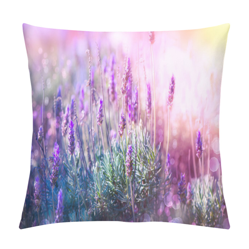 Personality  Lavender Flowers Field. Growing And Blooming Lavender Pillow Covers