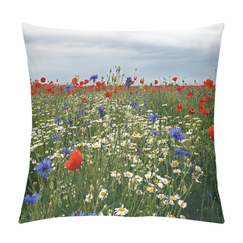 Personality  Landscape with poppies and chamomile-3 pillow covers