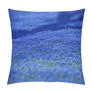 Personality  Carpet From Blue Flowers In The Spring. Pillow Covers