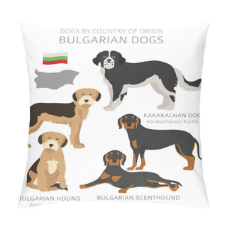 Personality  Dogs By Country Of Origin. Bulgarian Dog Breeds. Shepherds, Hunt Pillow Covers
