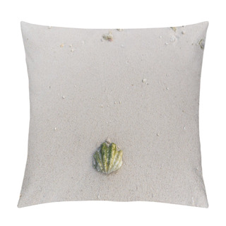 Personality  Seashell Pillow Covers