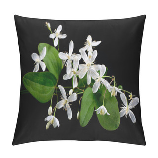 Personality  Blooming White Clematis On Black Background. A Minimalistic Photo For A Poster. Pillow Covers