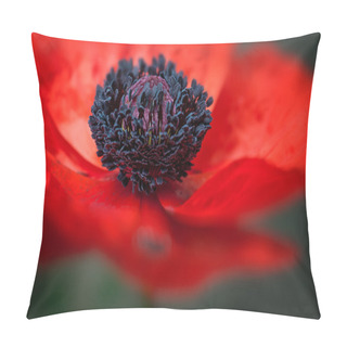Personality  Poppy Macro - Soft Background Pillow Covers