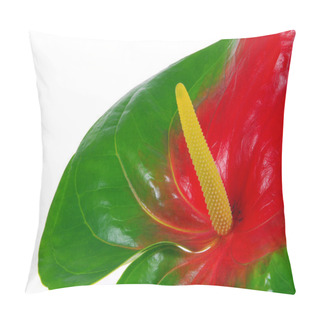 Personality  Anthurium 26 Pillow Covers