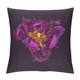 Personality  Low Key Surrealistic Center Macro Of A Purple Parrot Tulip Blossom On Dark Violet Background Pillow Covers