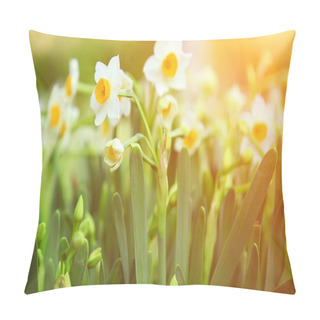 Personality  Narcissus Field On Sunny Day Pillow Covers