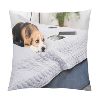 Personality  Dog With Digital Devices Pillow Covers