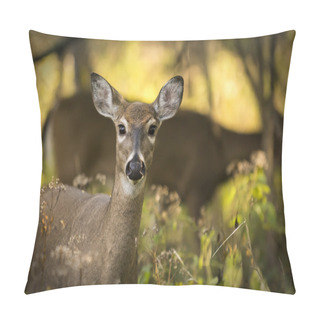 Personality  White Tail Deer Pillow Covers