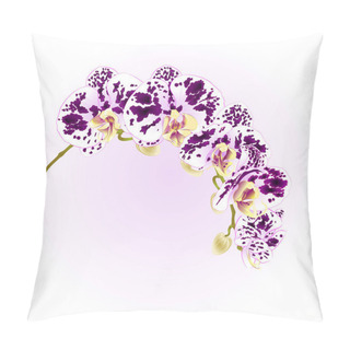 Personality  Beautiful Isolated Phalaenopsis Orchid Spotted White And Purple Stem With Flowers And  Buds   Vintage  Vector Closeup Editable Illustration Pillow Covers