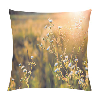 Personality  Flowers And Plants On A Background Sunset. Pillow Covers