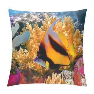Personality  Pennant Coralfish Or Bannerfish Pillow Covers