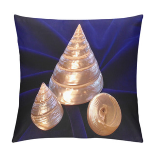 Personality  Nacreous Pearl Sea Cockleshells, Macro. Pillow Covers
