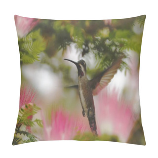 Personality  Long-billed Starthroat, Hovering In The Air, Garden, Mountain Tropical Forest, Colombia, Bird On Green Clear Background, Beautiful Hummingbird, Green Bird With Orange, Nature Scene  Pillow Covers