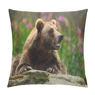 Personality  Portrait Of Brown Bear Pillow Covers