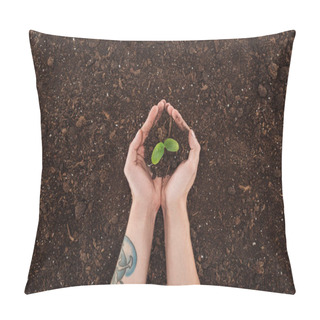 Personality  Cropped View Of Man Holding Green Plant With Ground In Hands, Protecting Nature Concept  Pillow Covers
